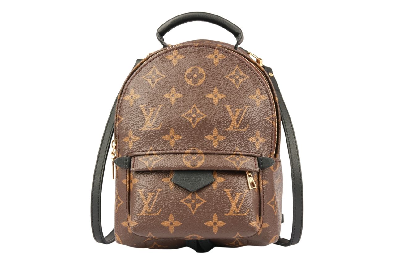 Louis Vuitton Palm Springs Mini Rucksack Monogram Canvas